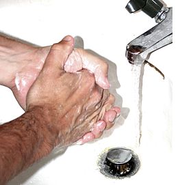 photo-TOC-wikipedia Les troubles obsessionnels compulsifs - Claire Delannoy